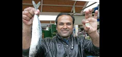 Shahid Nazir – One Pound Fish