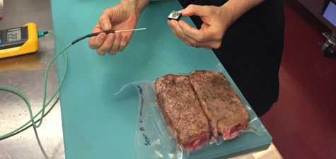 Thermometer during CREA Home Sous-Vide June 2015